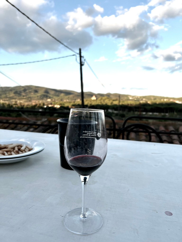 Glass of wine at winery in Costa Brava, Spain