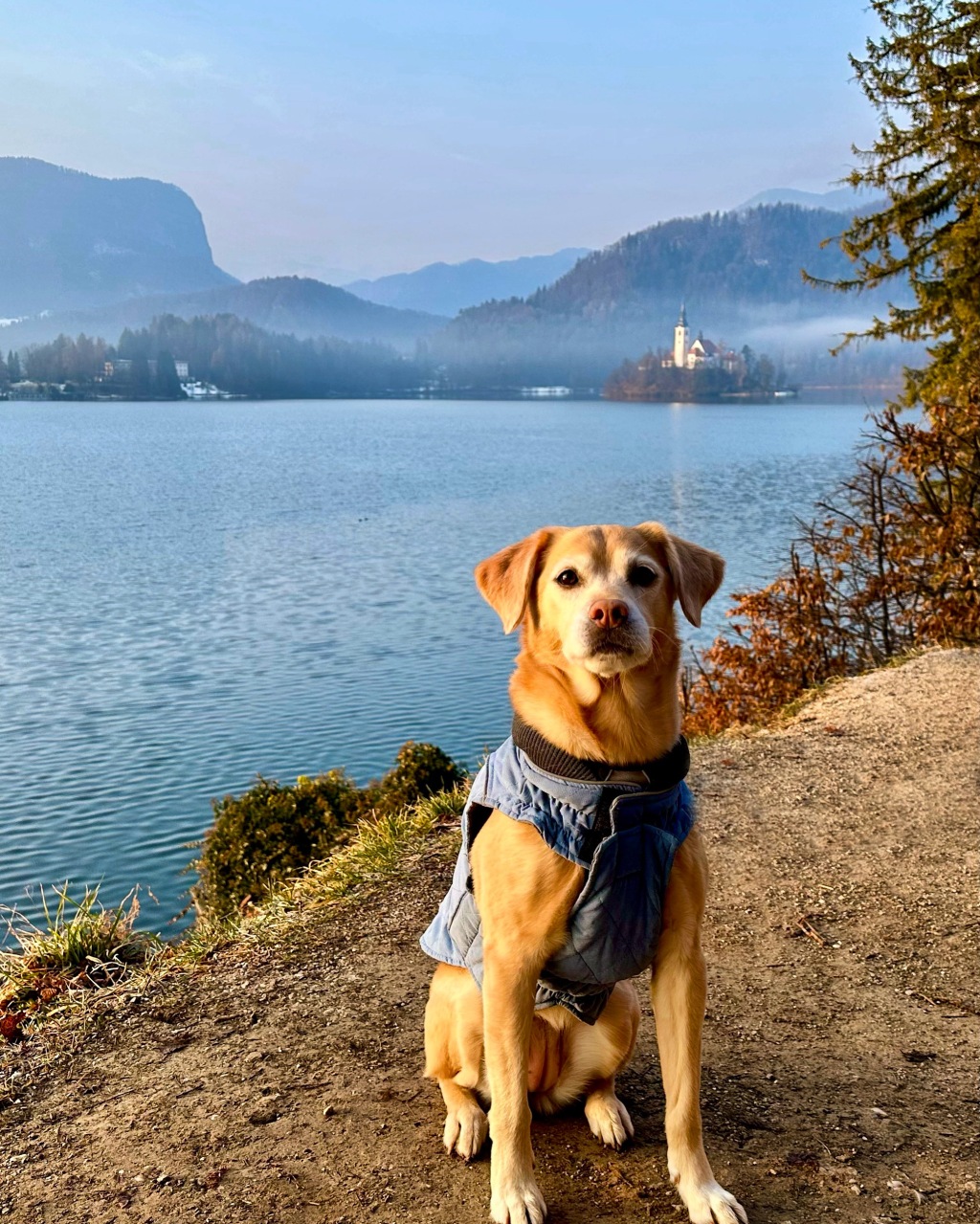 Eating and Exploring in Slovenia’s Lake Bled